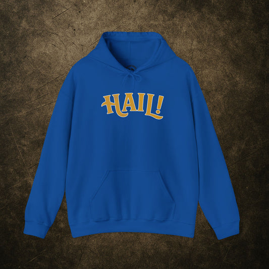 HAIL! Sport Grey Hoodie — Pitt Vintage-Inspired Fan Gear